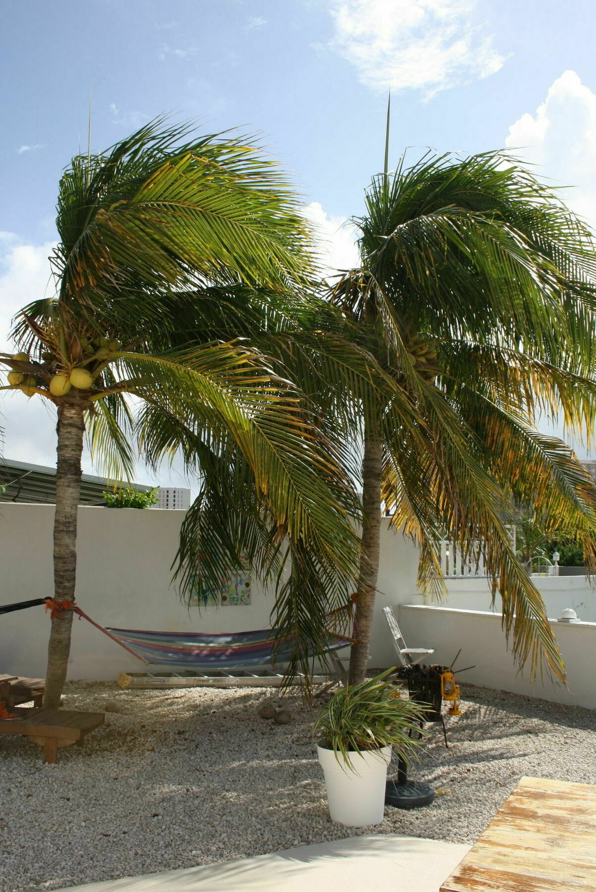 Karibu Aruba Boutique Hotel Palm Beach Exterior photo